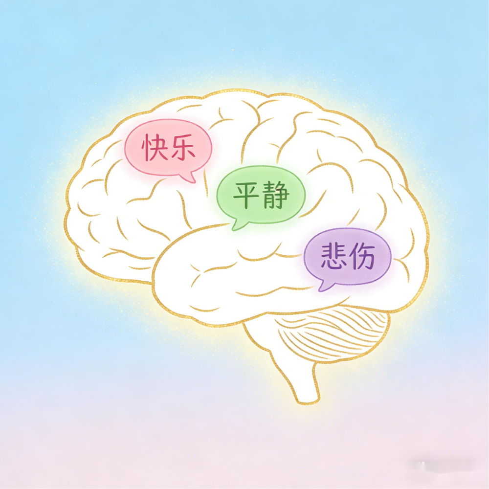 允许情绪流动，才是自我和解的开始